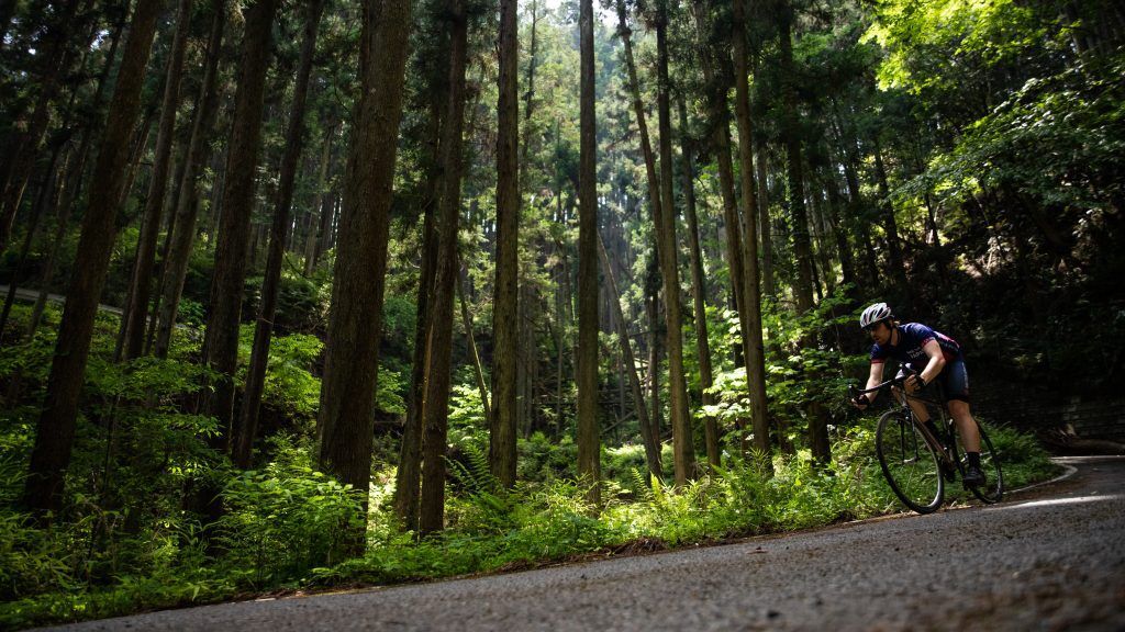 Rindo Forest Roads Japan s Best Road Biking Rindo Bike Tour Japan